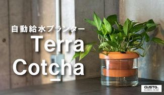 クラウドファンディングプロジェクト:【自動給水】自宅・オフィスを緑で豊かに。ガラスと陶器の映えるプランター「Terra Cotcha」