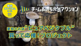 クラウドファンディングプロジェクト:【一宮市】生しいたけが「しいたけチップス」に!ピンチが産んだチップスを買って応援!プロジェクト