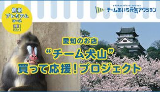 クラウドファンディングプロジェクト:チームあいち元気アクション「チーム犬山」にご支援お願いします!<No.01〜21>