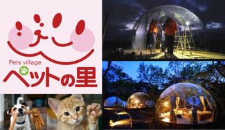 クラウドファンディングプロジェクト:世界最大級の犬猫の保護施設内にペットと泊まれる透明ドームテントを建てたい!