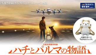 クラウドファンディングプロジェクト：ロシアの忠犬”ハチ公”ストーリー「ハチとパルマの物語」日本公開にご支援下さい！