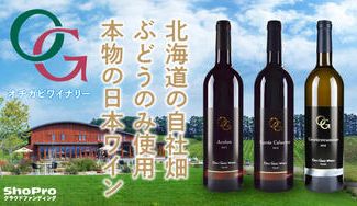 クラウドファンディングプロジェクト：日本でも珍しい自社畑のぶどうのみを使った【オチガビワイナリー】を代表するワインをお届け