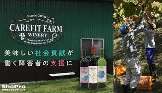 クラウドファンディングプロジェクト：【ケアフィットファームワイナリー】1本1本丁寧に手作りで醸造したワインをお届け。地域支援に繋げたい！
