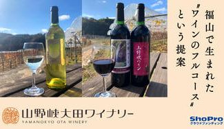 クラウドファンディングプロジェクト：【山野峡大田ワイナリー】の風光明媚な山野峡にある自社畑で育った富士の夢と北天の雫を使用したワイン