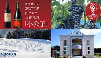 クラウドファンディングプロジェクト：福井県唯一のワイナリー【白山ワイナリー】からこだわりの香り華やかで魅力的な山葡萄ワインをお届け！