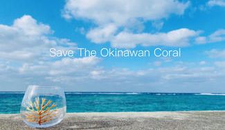 クラウドファンディングプロジェクト：STOC～沖縄の海、そして珊瑚を守るプロジェクト～