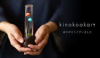 クラウドファンディングプロジェクト：Creema SPRINGS限定！えらべるkinokoakariで優しい灯りを届けたい