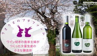 クラウドファンディングプロジェクト：長野県大町市の冷涼な気候が育んだクリアな酸味と熟成旨味が溶け込んだ【うさうさのプチファーム】のワイン