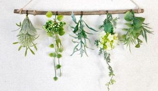 クラウドファンディングプロジェクト：葉っぱが主役の季節感漂う心地よさをお届けします