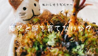 クラウドファンディングプロジェクト：ゆるーい猫又といっしょにおうちで緑を育ててみませんか？