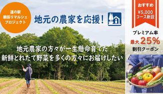 クラウドファンディングプロジェクト：再開：道の駅と地元農家を応援！朝採野菜を全国へ、直売ECプロジェクト