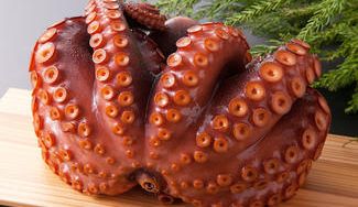 クラウドファンディングプロジェクト：【先行販売】えっ！自宅で茹でるタコ！？最北端の産地から「志津川真ダコ」の美味しさを届けたい。