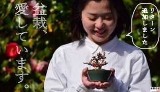 クラウドファンディングプロジェクト：盆栽生活はじめませんか～やすと二代目の挑戦～小さな鉢でけなげに育つ樹木たち