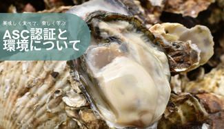 クラウドファンディングプロジェクト:美味しい牡蠣を食べながら、「ASC認証」について学ぼう!