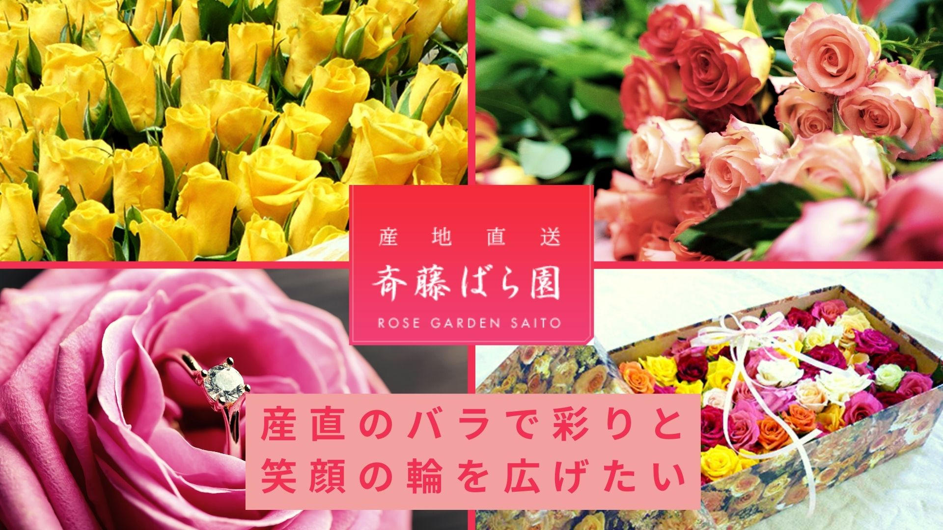 バラ　お問い合わせ専用 限定価格】群馬の老舗ばら園がお届けする、摘みたてのフレッシュなバラ