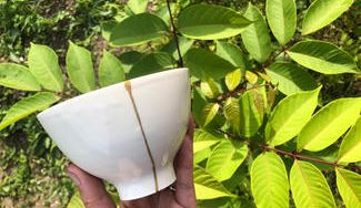 クラウドファンディングプロジェクト：漆を育て、直す、作る。あなたと私の１０年計画