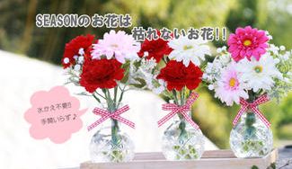 クラウドファンディングプロジェクト：お手入れ一切不要！枯れないお花で毎日の暮らしに癒しのひとときを