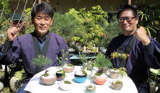 クラウドファンディングプロジェクト：広島・己斐の盆栽の歴史を知ってほしい！　陶器・漆器　オリジナル広島盆綵コラボセット