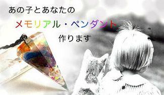 クラウドファンディングプロジェクト：保護猫活動応援企画ーメモリアル・ペンダントで家族としてのペット（あの子）といつまでもー