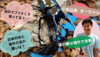 クラウドファンディングプロジェクト:8月1日どりぃむフェスタ2021で昆虫キャラバンイベントを開催したい!