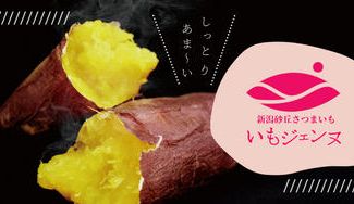 クラウドファンディングプロジェクト：まるでスイーツ！新潟のブランドさつまいも「いもジェンヌ」