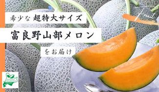 クラウドファンディングプロジェクト：【数量限定】今年も販売します！Mama's Harvestの富良野メロン、特大3玉サイズ  