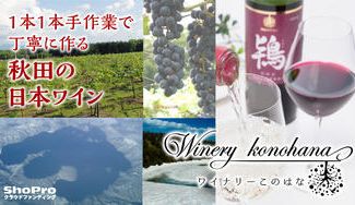 クラウドファンディングプロジェクト：【ワイナリーこのはな】1本1本手作業で丁寧に作ったワインとシードルを限定セットでお届け