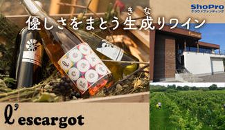 クラウドファンディングプロジェクト：【レスカルゴ】小さなワイナリーだからできる手造りで優しいワインをオリジナル化粧箱でワイナリーから直送