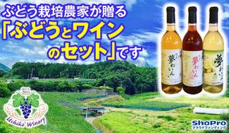 クラウドファンディングプロジェクト:ぶどう栽培農家が70歳で立上げた【内子ワイナリー】が届ける愛媛県内子町産ぶどうで造られた内子夢ワイン
