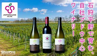 クラウドファンディングプロジェクト：【さっぽろワイン】石狩平野の自社ブドウで醸す、北の大地の”風”を感じるワインをお届けします