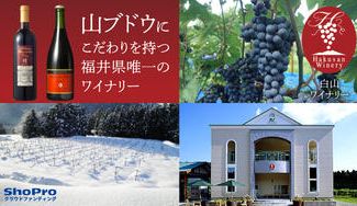クラウドファンディングプロジェクト：【白山ワイナリー】緑豊かな霊峰白山の山ブドウを使ったこだわりワイン