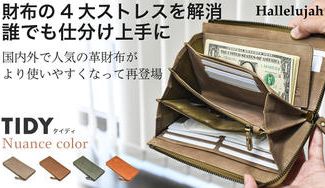 クラウドファンディングプロジェクト：財布の4大ストレスを解消し、誰でも仕分け上手になれる。整理整頓革財布「TIDY」