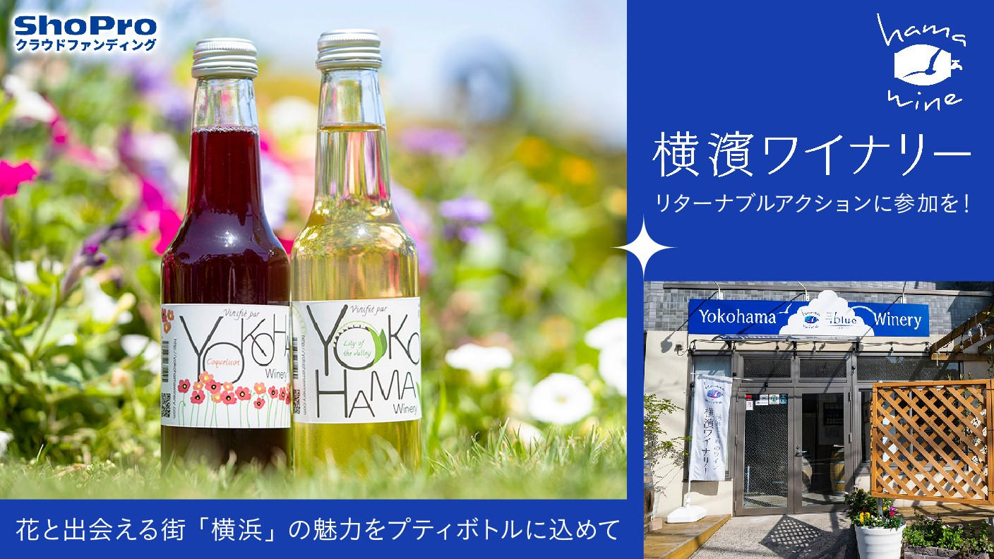 横浜唯一のクラフトワイン”ハマワイン”。参加型でみんなで紡ぐ、自然派