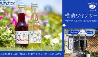 クラウドファンディングプロジェクト：横浜唯一のクラフトワイン”ハマワイン”。参加型でみんなで紡ぐ、自然派ワイナリー【横濱ワイナリー】