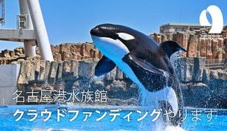クラウドファンディングプロジェクト：名古屋港水族館、クラウドファンディングやります！