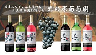 クラウドファンディングプロジェクト：【岩の原葡萄園】日本のワインぶどうの父「川上善兵衛」が創業したワイナリー