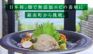 クラウドファンディングプロジェクト：日本初、畑で無添加エビの養殖に鋸南町から挑戦。国内発送で活きたままお届け。初出荷分先行予約受付開始
