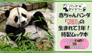 クラウドファンディングプロジェクト:和歌山の赤ちゃんパンダ「楓浜(ふうひん)」 生まれてからの1年間を 特製ムック本に