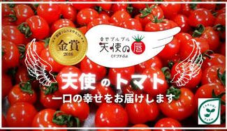クラウドファンディングプロジェクト:天使が舞い降りる天使のトマト 一口の幸せを皆様にお届けします