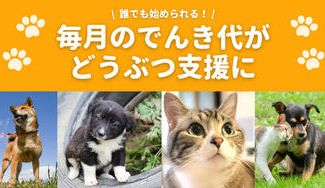 クラウドファンディングプロジェクト:想いを持って電力を選ぶ。社会貢献型の電力サービス「どうぶつでんき」