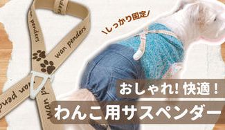 クラウドファンディングプロジェクト:わんこのためのサスペンダー「ワンペンダー」でおむつやボトムスのズレを防止