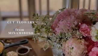 クラウドファンディングプロジェクト：花の香りも閉じ込めて。花の産地南房総から、ご自宅で自由に楽しめる豪華な切り花の詰め合わせをお届け。