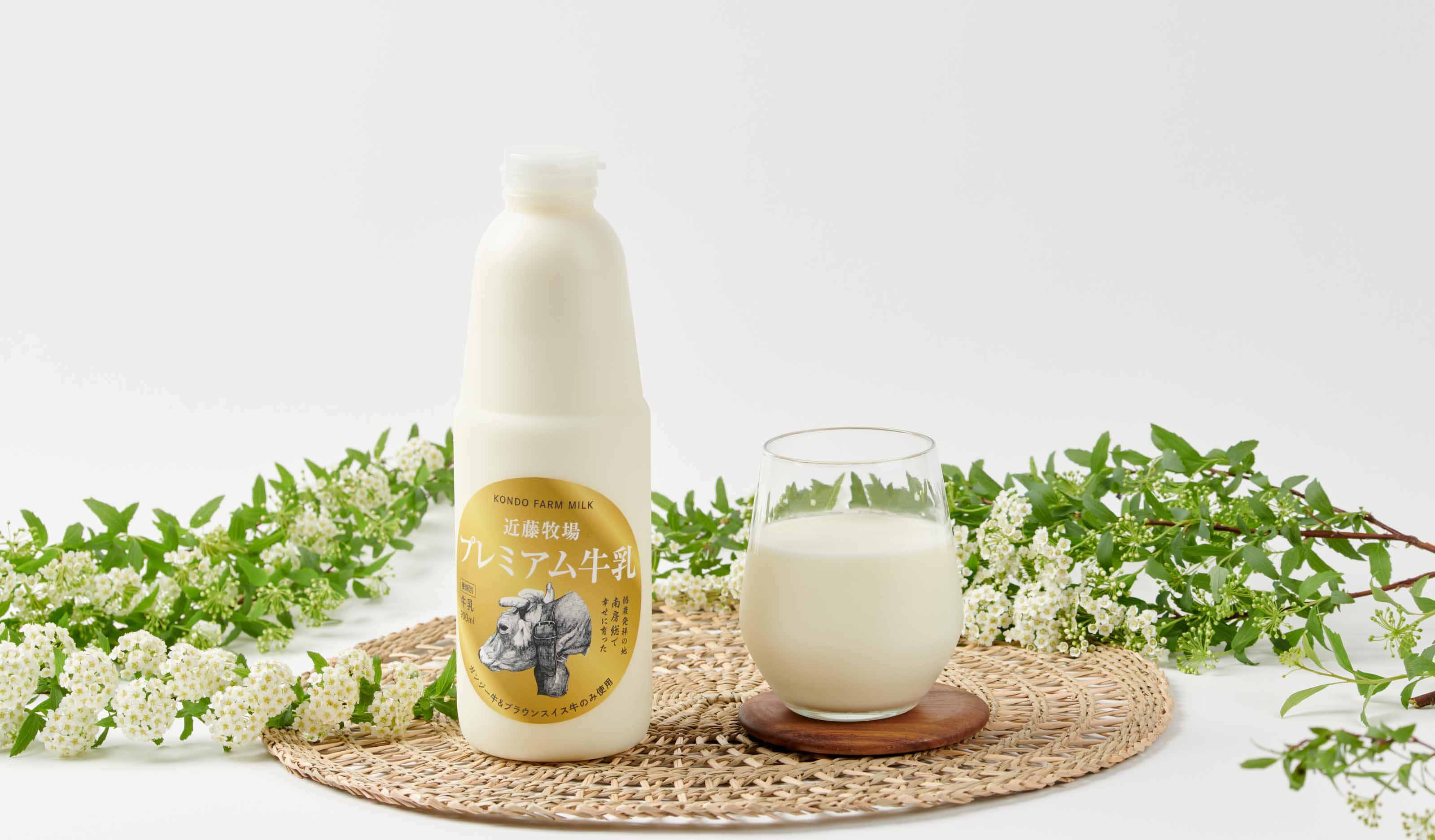 南房総で幸せな環境で育った希少なブラウンスイスとガンジー牛の