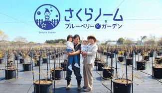 クラウドファンディングプロジェクト:佐倉のお庭へようこそ。50種類以上の品種を揃えるブルーベリーガーデンで、豊かな時間を。