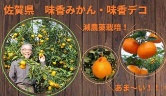 クラウドファンディングプロジェクト:【佐賀県唐津市】恵味香(めぐみか)が育てる糖度が自慢の「味香みかん」と「味香デコ」