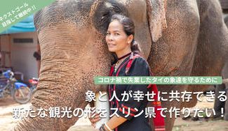 クラウドファンディングプロジェクト：コロナ禍で失業したタイの象達を守るために象と人が幸せに共存できる新たな観光の形をスリン県で作りたい！