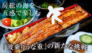 クラウドファンディングプロジェクト:食べに、遊びに、来てほしい!房総を愛する三代目店主考案の「波乗りうな重」と、房総マリンレジャー
