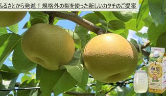 梨園のお持ち物　能面に寿　柘植の帯留　完全一点物　特注品 梨園のお持ち物 能面に寿 柘植の帯留 完全一点物 特注品 - メルカリ