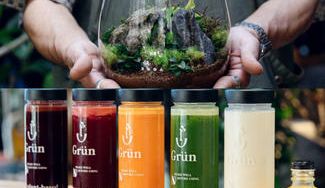 クラウドファンディングプロジェクト：グリーンのある生活を楽しみながら、心と体を健康に。植物とつながる新たなコミュニティをご提案します。