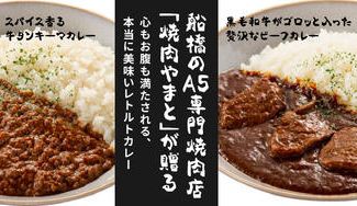 クラウドファンディングプロジェクト:船橋市の名店焼肉やまとがお届けします心もお腹も満たされる、和牛ビーフカレーと牛タンキーマカレー
